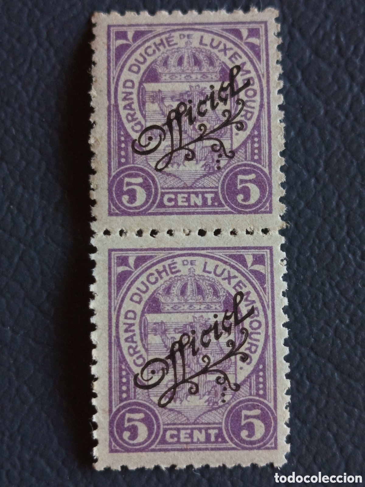 Sellos: Luxemburgo 1920 - Oficial 5c Violeta Par Vertical MNH - Michel Of. 29 / Yvert Of. 47