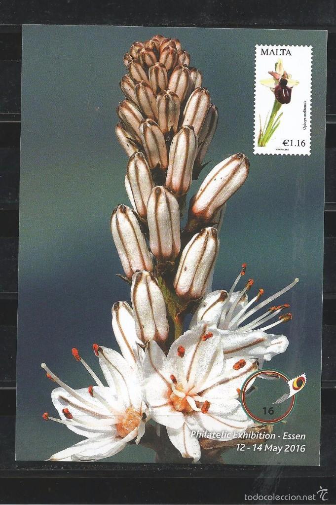 Sellos: Malta 2016 - Essen Stamp Fair 2016 maxicard - Foto 1