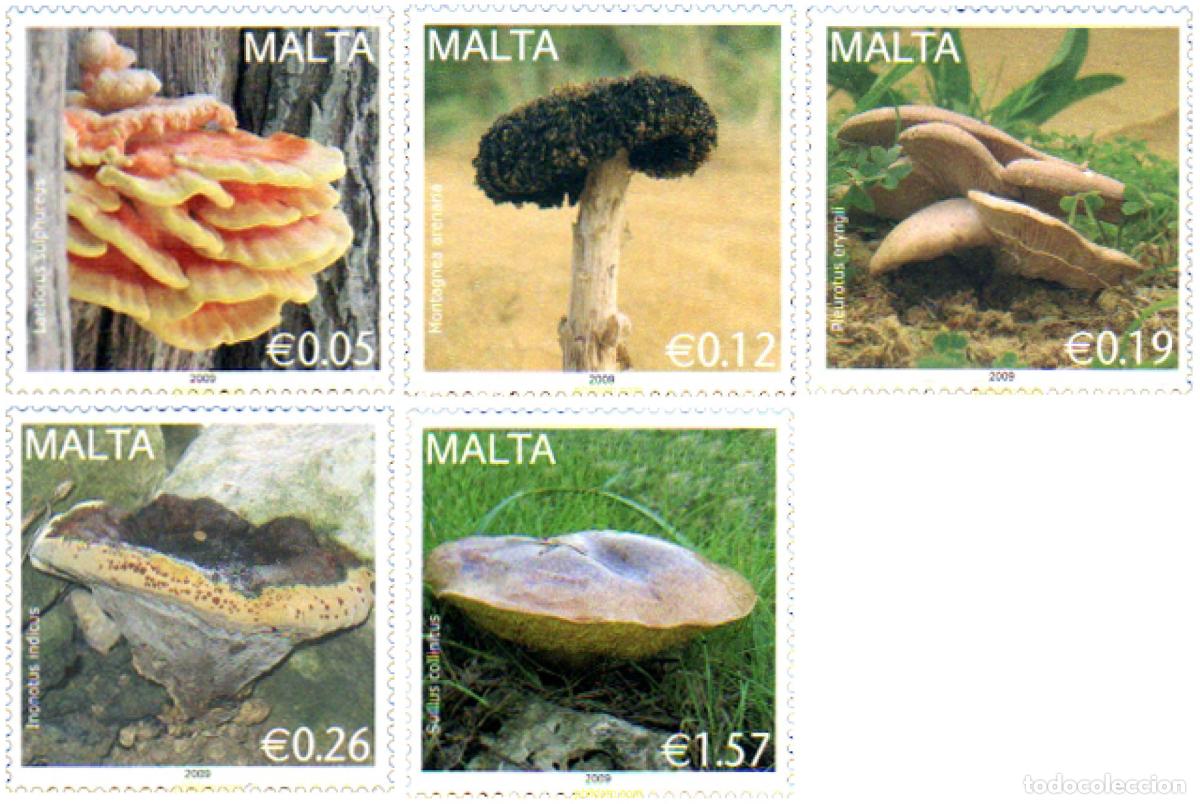 Sellos: 236197 MNH MALTA 2009 - Foto 1