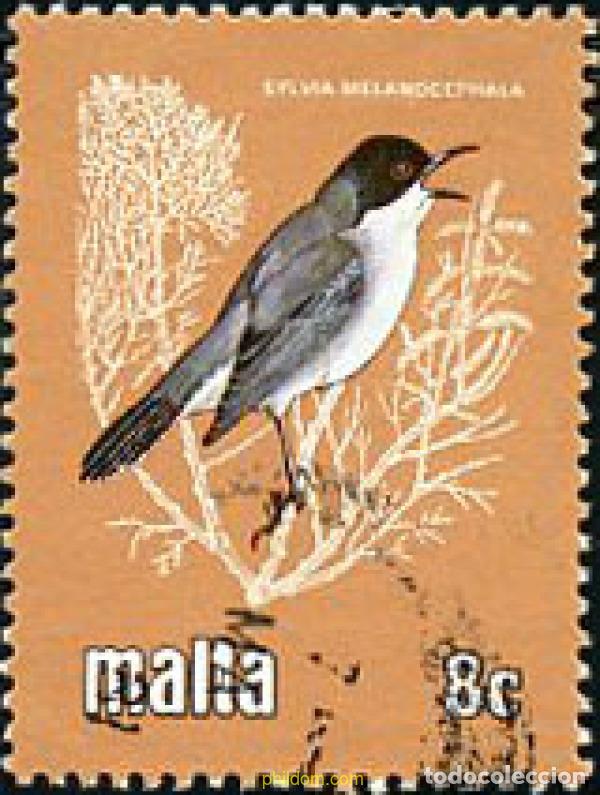 Stamps: 209333 USED MALTA 1981 PROTECCION DE LA VIDA SALVAJE