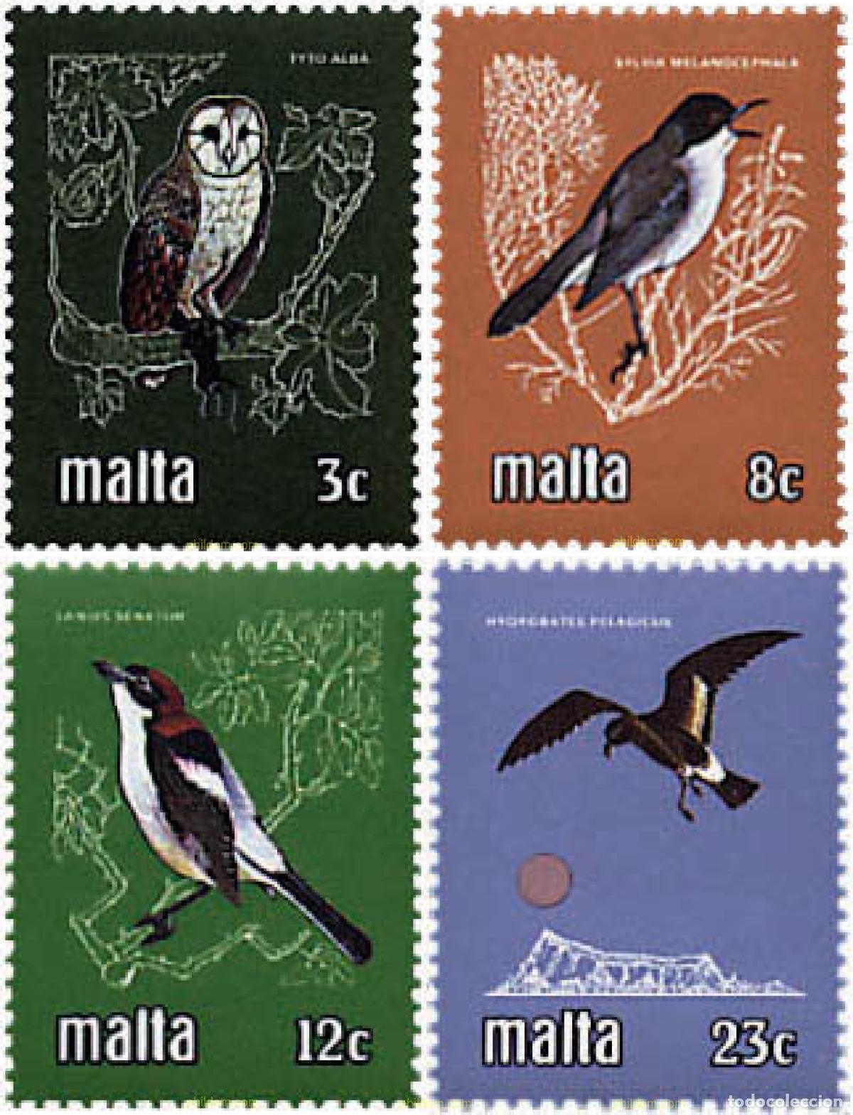 Sellos: 67593 MNH MALTA 1981 PROTECCION DE LA VIDA SALVAJE