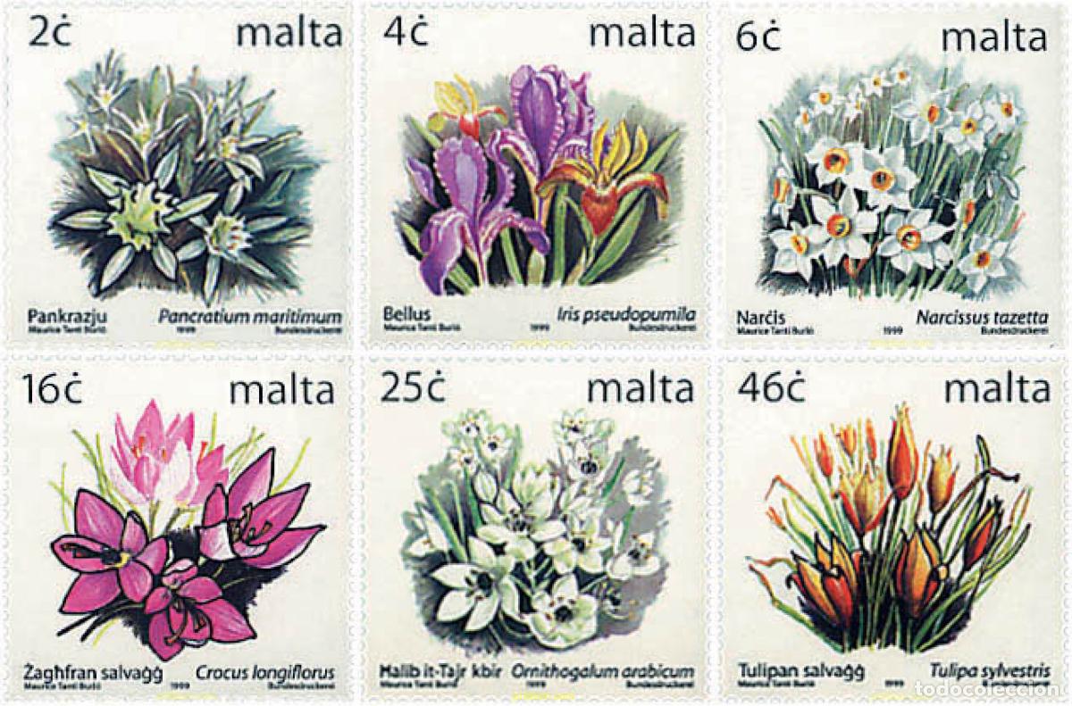Sellos: 95365 MNH MALTA 1999 FLORES