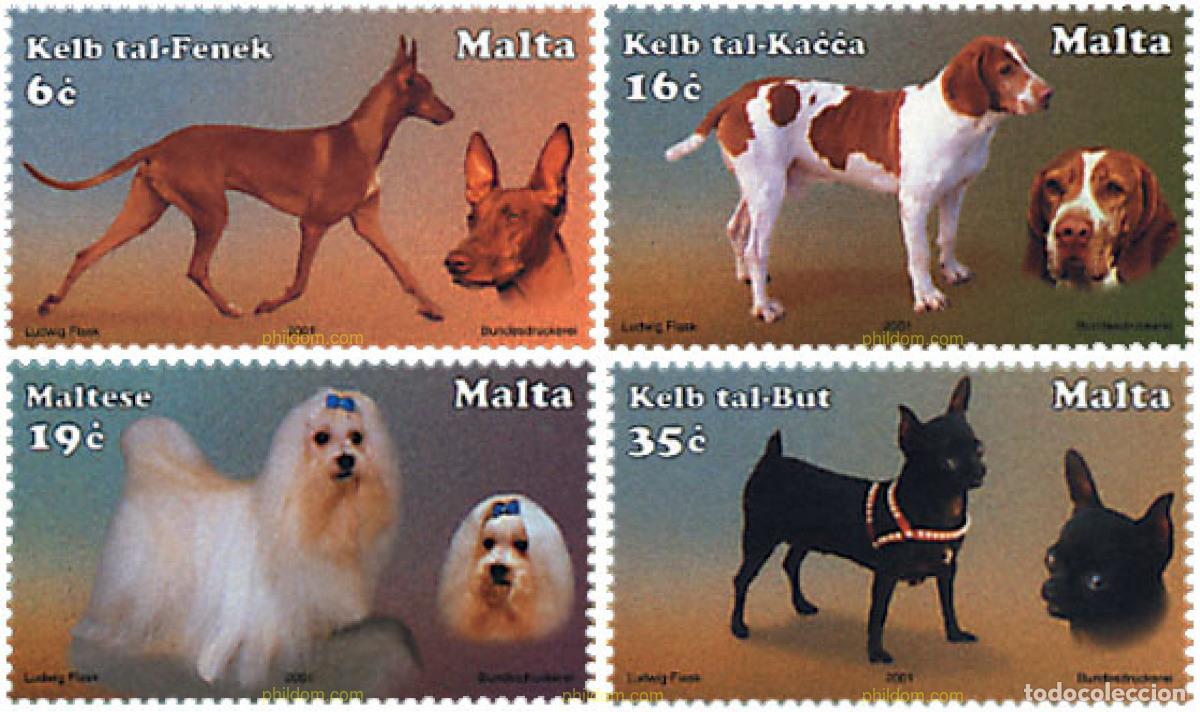 Sellos: 81341 MNH MALTA 2001 PERROS