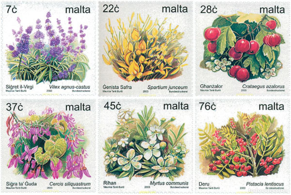 Sellos: 116003 MNH MALTA 2003 FLORA
