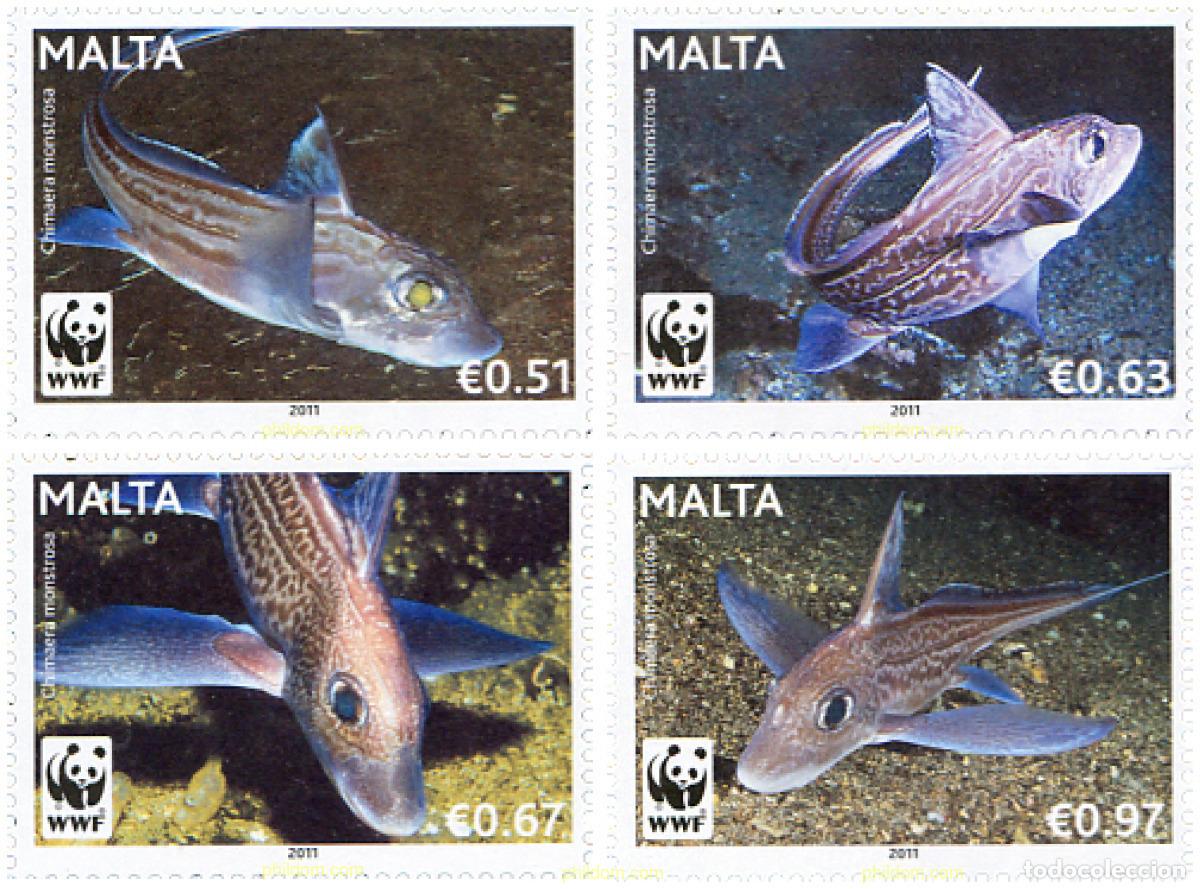 Sellos: 261314 MNH MALTA 2011 50 ANIVERSARIO DE LA WWF