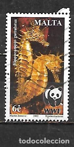 Sellos: 2002: Fauna protegida WWF. Caballitos de mar - Caballito de mar Mediter&aacute;neo (usado)
