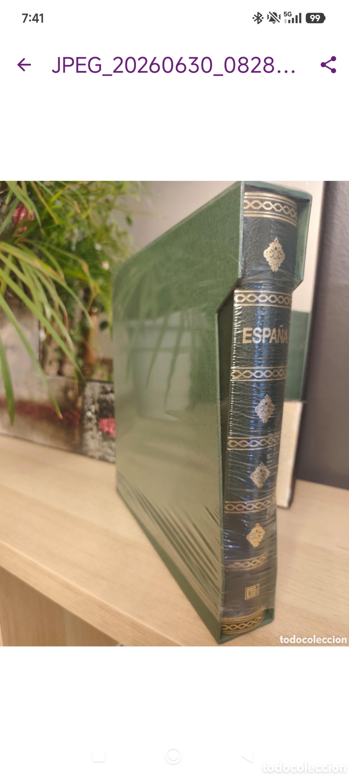 Sellos: Album Edifil Semi lujo Verde Nuevo
