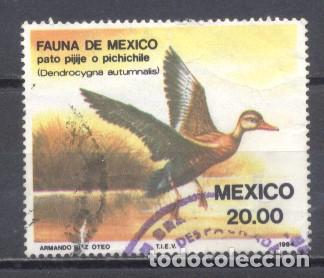 Sellos: Mexico 1984, usado,p&aacute;jaros - Foto 1