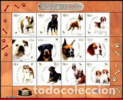 Sellos: J) 2007 MEXICO, DOG BREED, SOUVENIR SHEET - Foto 1