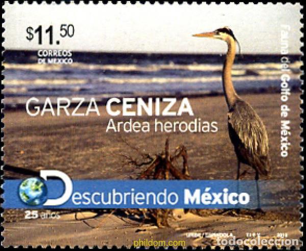 Sellos: 271784 MNH MEXICO 2011 AVE - Foto 1