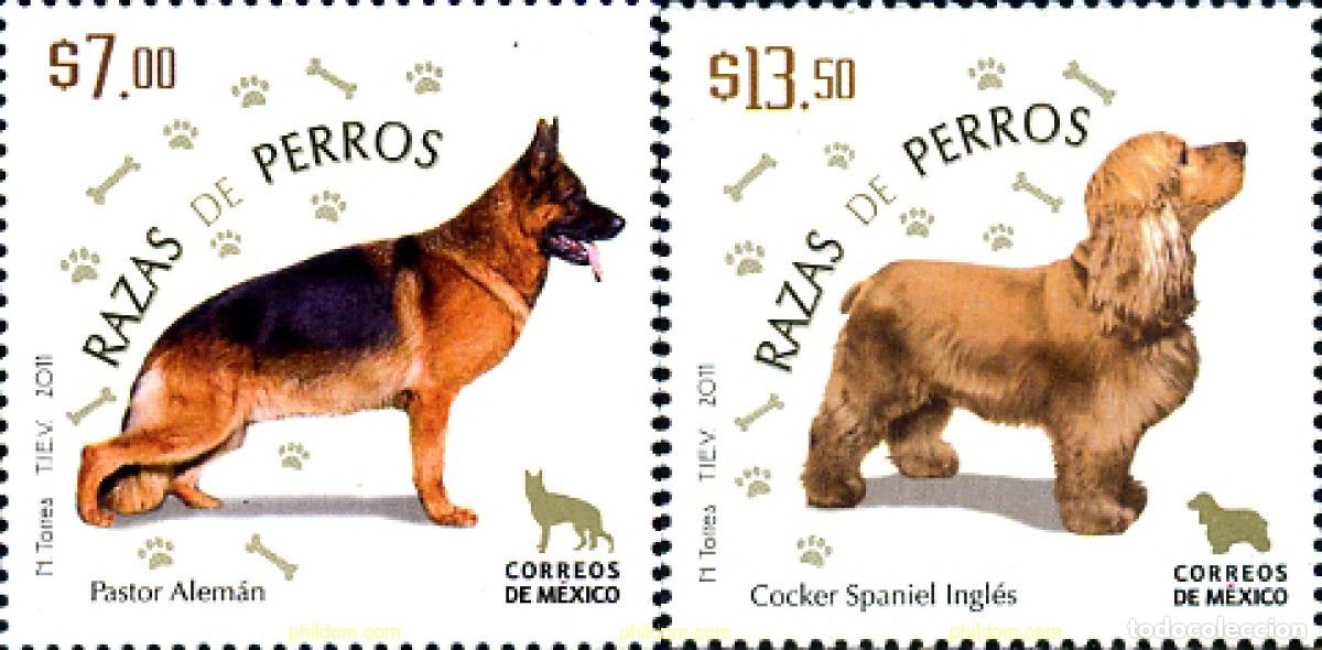 Sellos: 274715 MNH MEXICO 2011 - Foto 1