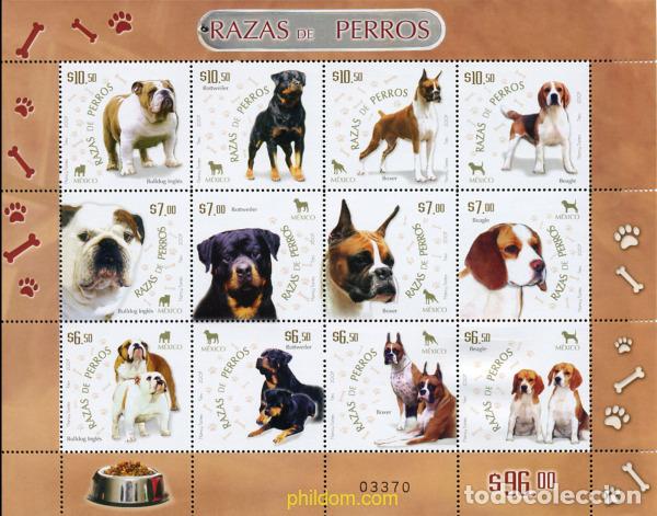 Sellos: 275943 MNH MEXICO 2007 PERRO - Foto 1