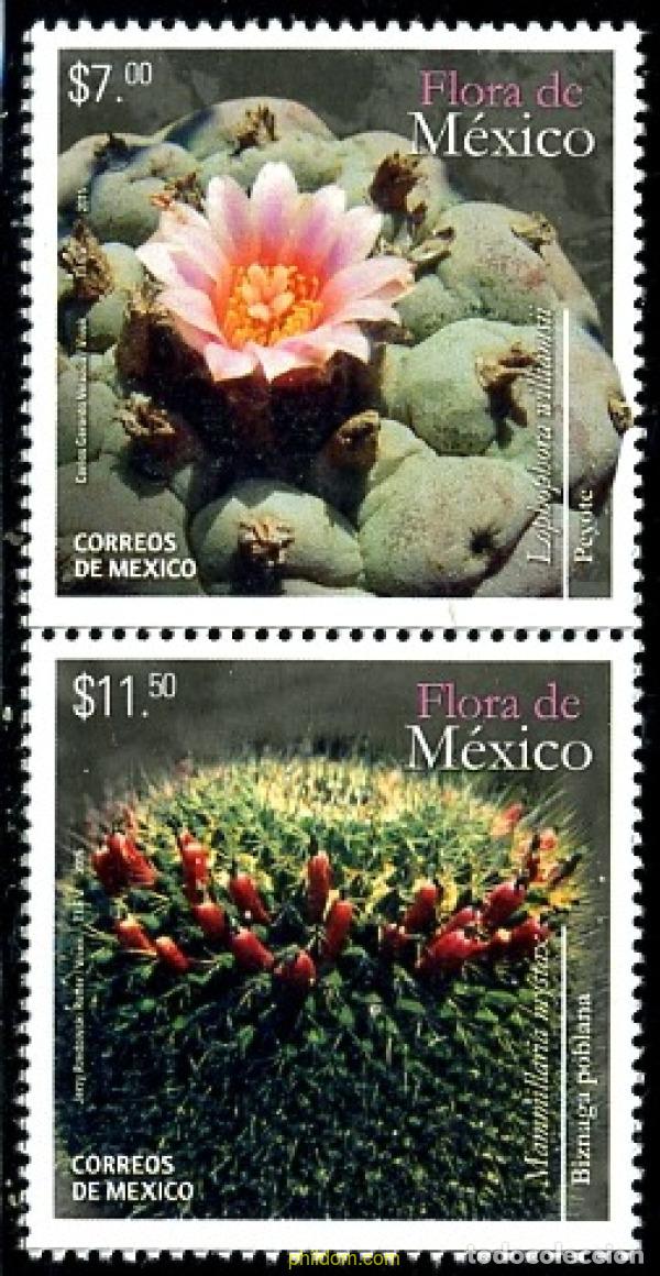 Sellos: 353793 MNH MEXICO 2015 FLORA - Foto 1