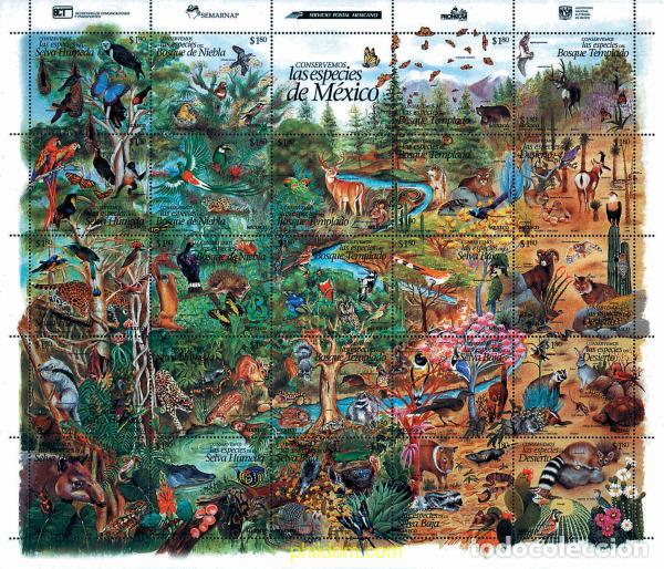 Sellos: 343733 MNH MEXICO 1996 CONSERVEMOS LAS ESPECIES DE MEXICO