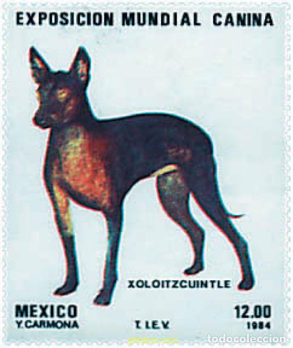 Sellos: 49610 MNH MEXICO 1984 EXPOSICION CANINA MUNDIAL
