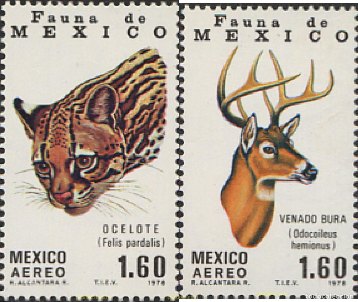 Sellos: 28728 MNH MEXICO 1978 FAUNA MEXICANA