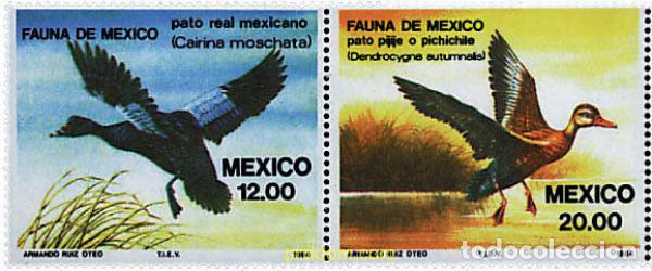 Sellos: 6989 MNH MEXICO 1984 AVES DE MEXICO