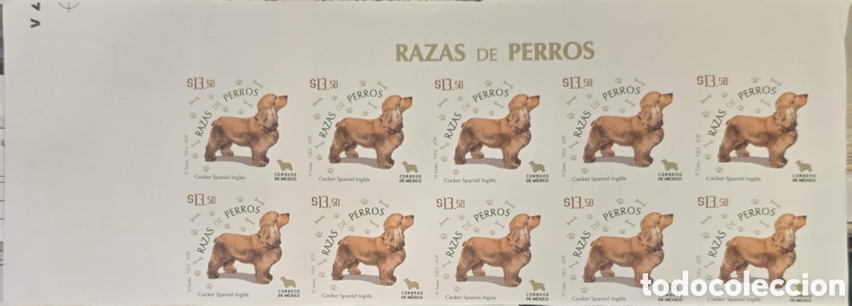 Sellos: CA)Mexico2011. Imperforated.Dog Breeds (Razas de Perros I - English Cocker Spaniel)
