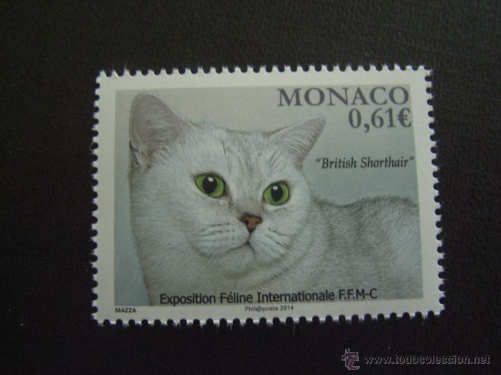 Sellos: MONACO  A&Ntilde;O 2014. CONCURSO INTERNACIONAL. GATO - Foto 1