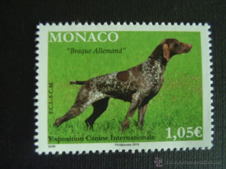 Sellos: MONACO  A&Ntilde;O 2015. PERRO POINTER ALEMAN - Foto 1
