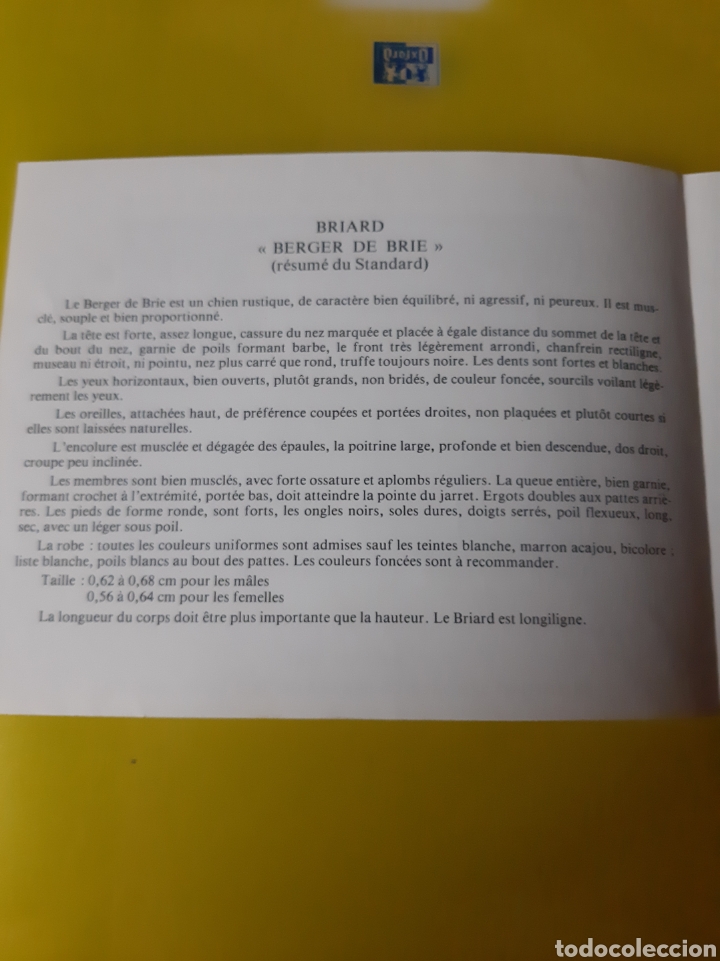 Sellos: FOLLETO PEROS EXPOSICI&Oacute;N 1982 BOBTAIL EMISI&Oacute;N POSTE MONACO - Foto 2