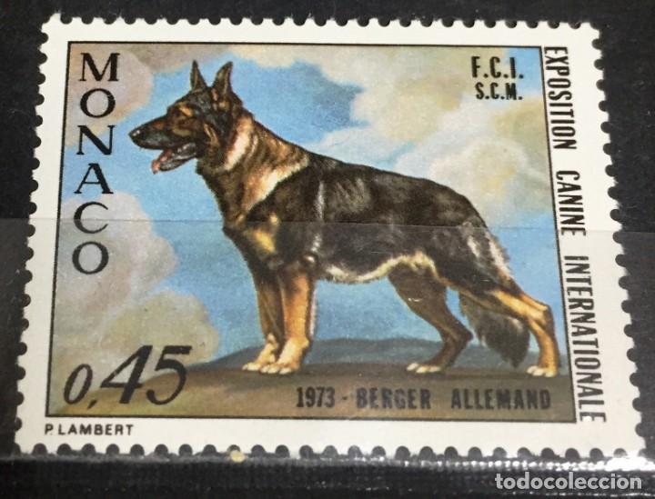 Sellos: Monaco, exposicion de perros en Monte Carlo - Foto 1