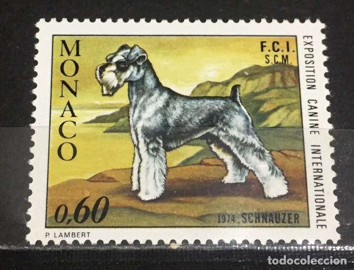 Sellos: Monaco exposicion canina de Monte Carlo - Foto 1