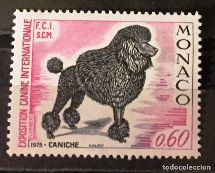 Sellos: Monaco, exposicion canina - Foto 1