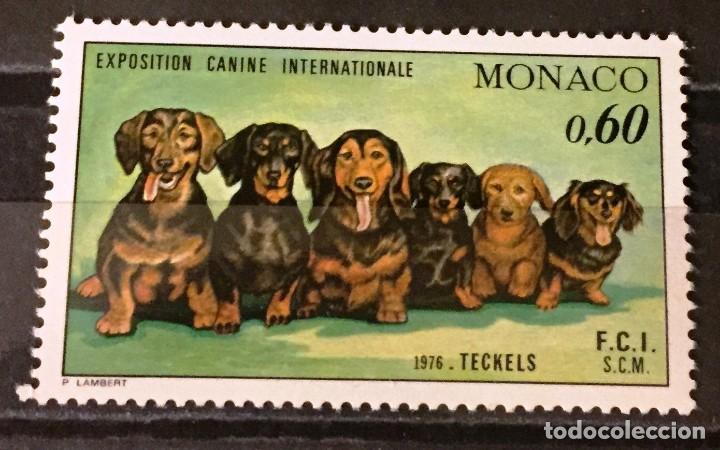 Sellos: Monaco, exposicion canina - Foto 1
