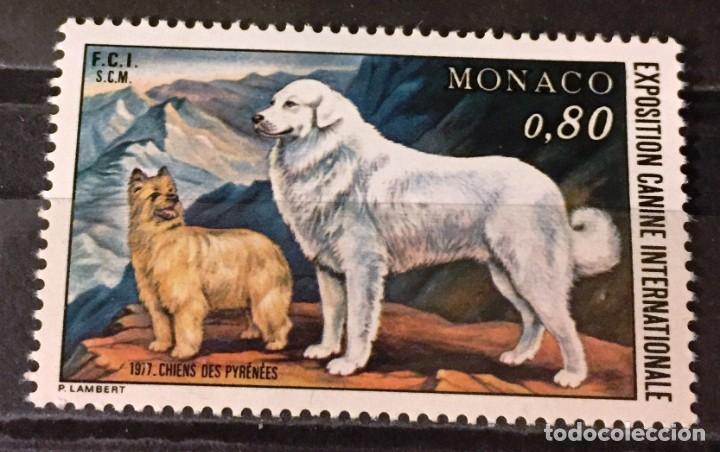 Sellos: Monaco, exposicion de perros en Monte Carlo - Foto 1