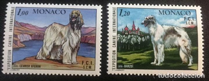 Sellos: Monaco, exposicion canina - Foto 1