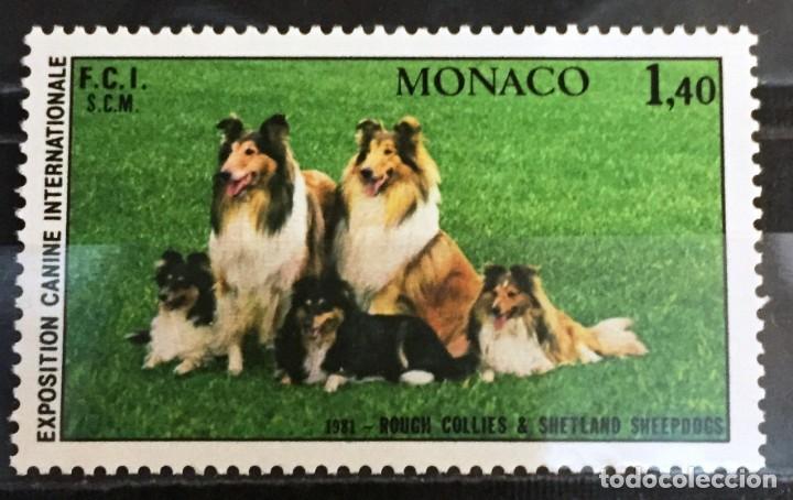 Sellos: Monaco, exposicion de perros en Monte Carlo - Foto 1