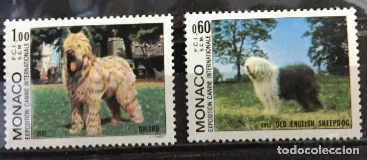 Sellos: Monaco , exposicion canina de Monte Carlo - Foto 1