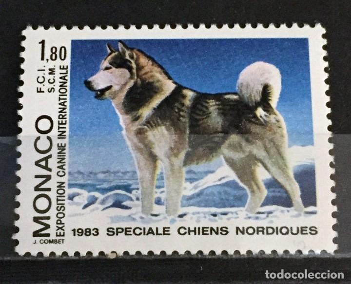 Sellos: Monaco, exposicion canina - Foto 1