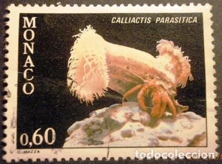 Sellos: 1980 M&Oacute;NACO. Corales - Foto 4