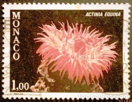 Sellos: 1980 M&Oacute;NACO. Corales - Foto 5