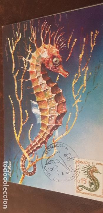 Sellos: TARJETAS POSTALES DE MONACO TEMATICAS EL OCEANOGRAFICO - Foto 8
