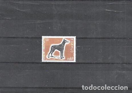 Sellos: MONACO N&ordm; 816(0) USADO - Foto 1
