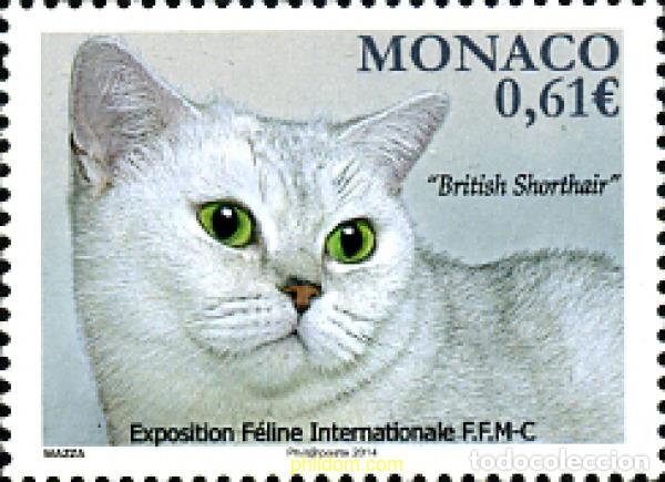 Sellos: 313790 MNH MONACO 2013 GATO - Foto 1