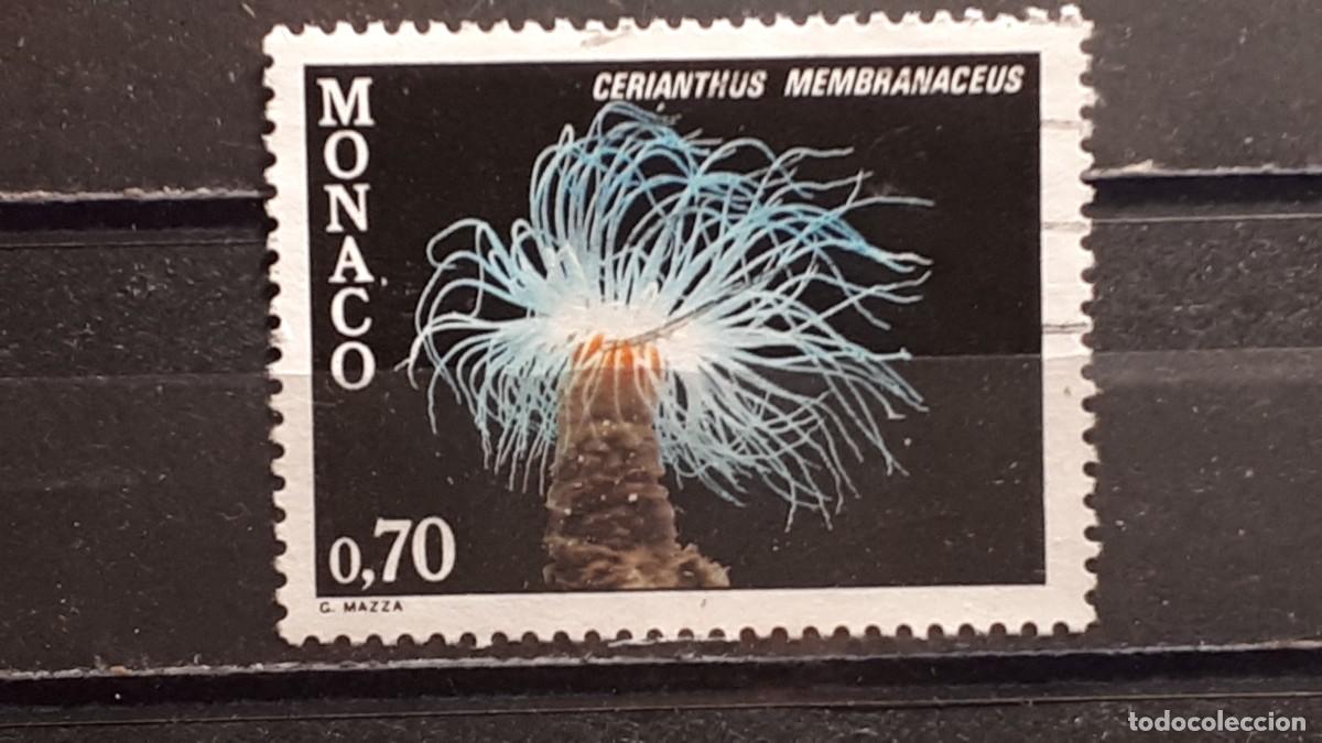 Sellos: M&Oacute;NACO. A&Ntilde;O 1980. &deg;. YVERT 1261 - Foto 1