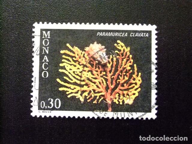 Sellos: 107 MONACO 1980 / FAUNA - ANEMONA SULCATA / YVERT 1254 FU