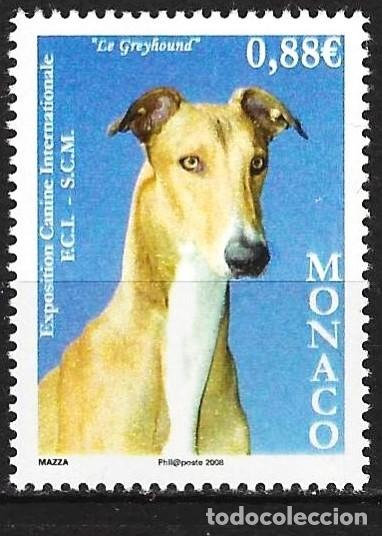 Sellos: Monaco 2008 - Mi 2880 - YT 2622 - Perro : Greyhound - MNH**
