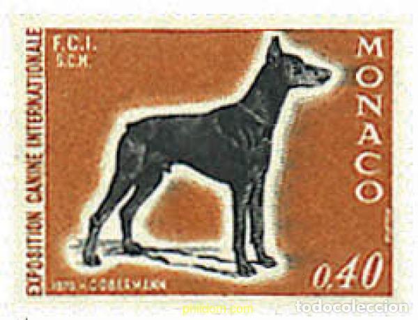 Sellos: 51008 MNH MONACO 1970 EXPOSICION CANINA INTERNACIONAL. DOBERMANN
