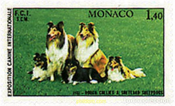 Sellos: 51021 MNH MONACO 1981 EXPOSICION CANINA INTERNACIONAL