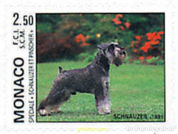Sellos: 51031 MNH MONACO 1991 EXPOSICION CANINA