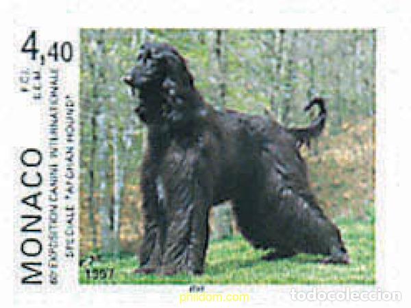 Sellos: 51037 MNH MONACO 1996 60 EXPOSICION INTERNACIONAL CANINA