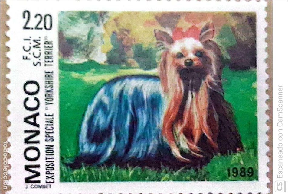 Sellos: M&oacute;naco. 1676 Exposici&oacute;n canina de Montecarlo: Sp&eacute;ciale Yorkshire Terrier. 1989. Sellos nuevos y nume