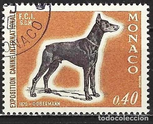 Sellos: Monaco 1970 - Mi 965 - YT 816 - Fauna : Pero Dobermann