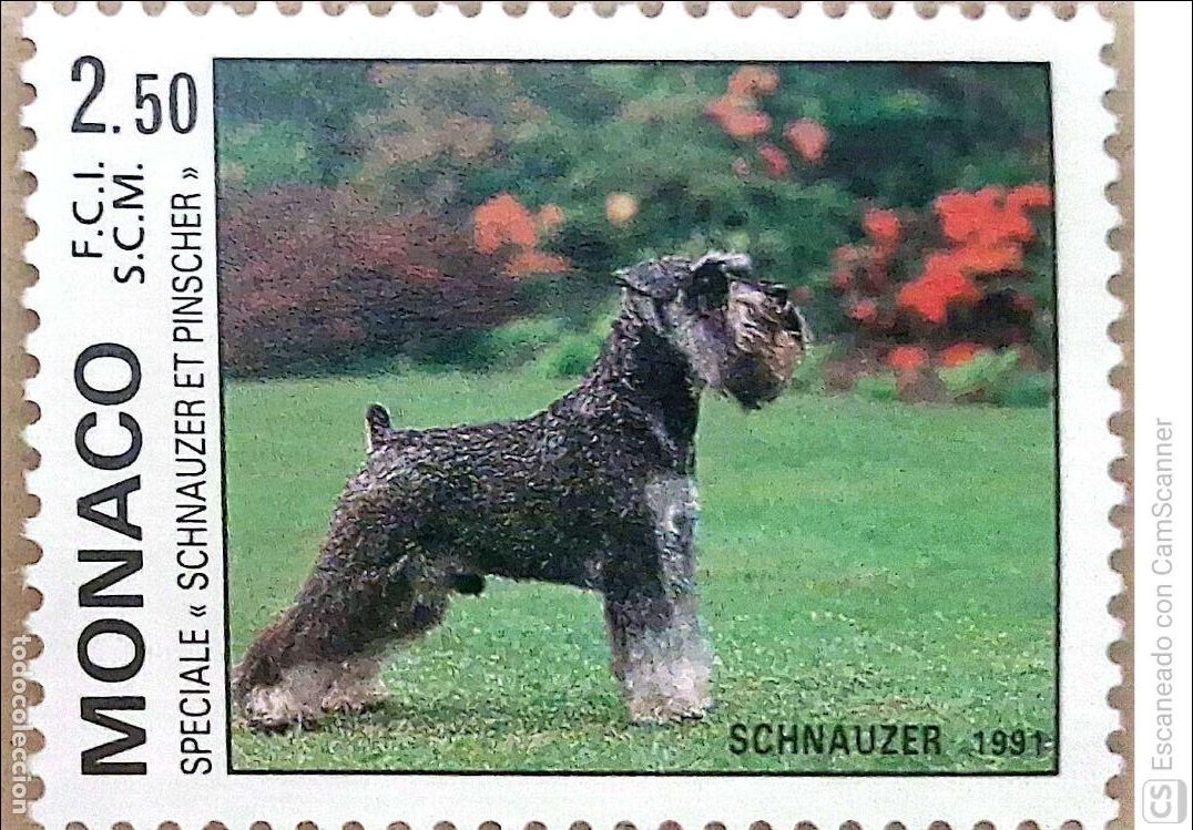 Sellos: Monaco. 1760 Exposici&oacute;n canina: Schnauzer. 1991.Sellos nuevos y numeraci&oacute;n Yvert.