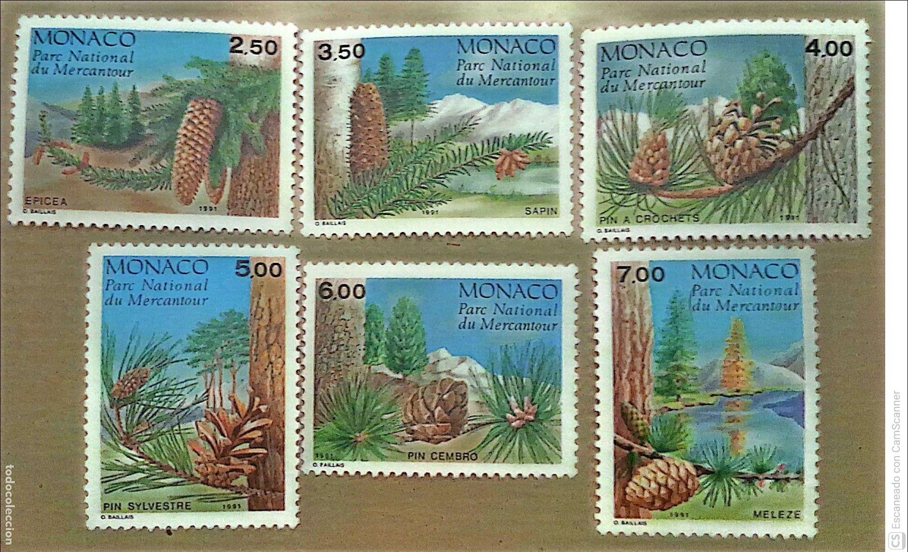 Sellos: M&oacute;naco. 1799/1804 Flora: Con&iacute;feras del Parque del Mercantour. 1991. Sellos nuevos y numeraci&oacute;n Yvert